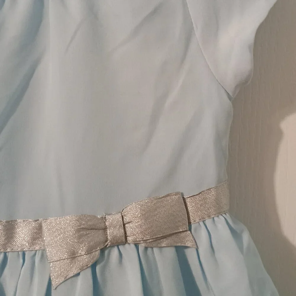 Gymboree/Dress/Girls/18-24M/Blue/Owls Glitter Bow Party